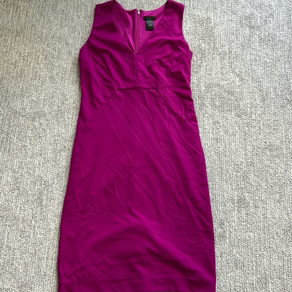 NWOT Ann Taylor dress